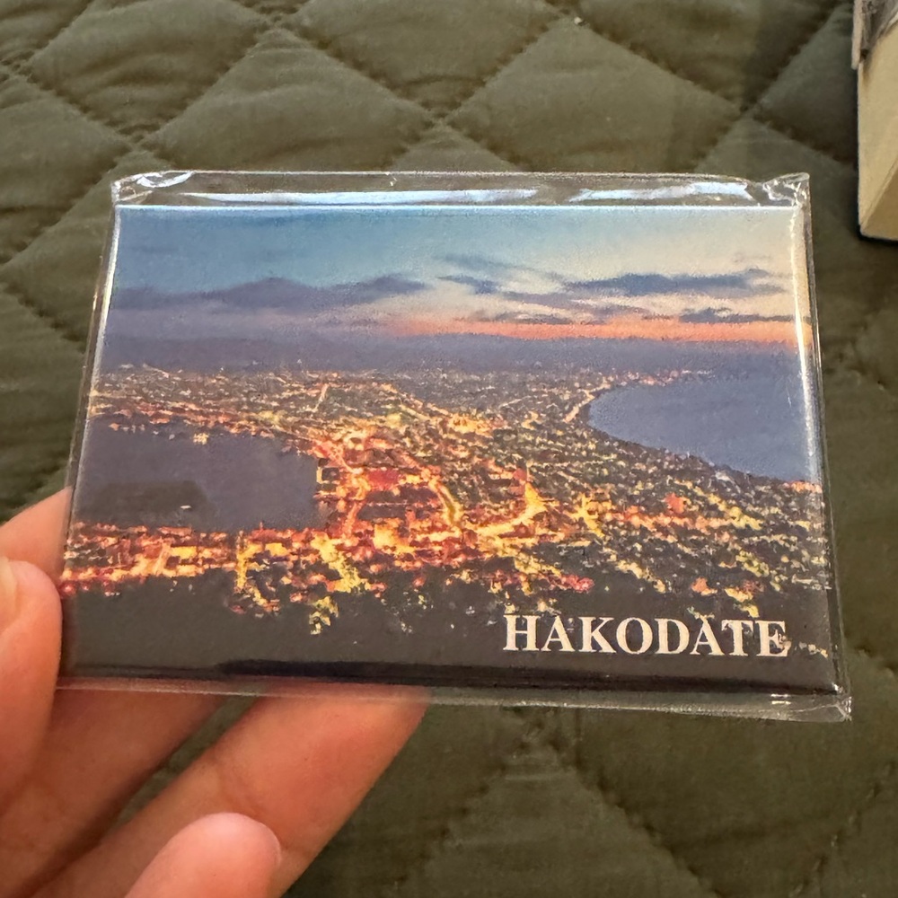 Hakodate Cityscape Magnet